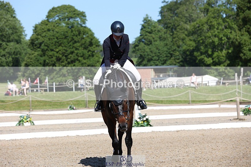 230526-094521-05161 - 357-VIVENDI_HERO-Saffron_Cresswell-WEDTrotUp+DR