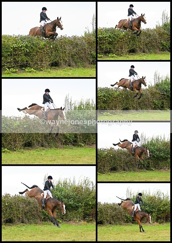 A3 Edit - Edited examples