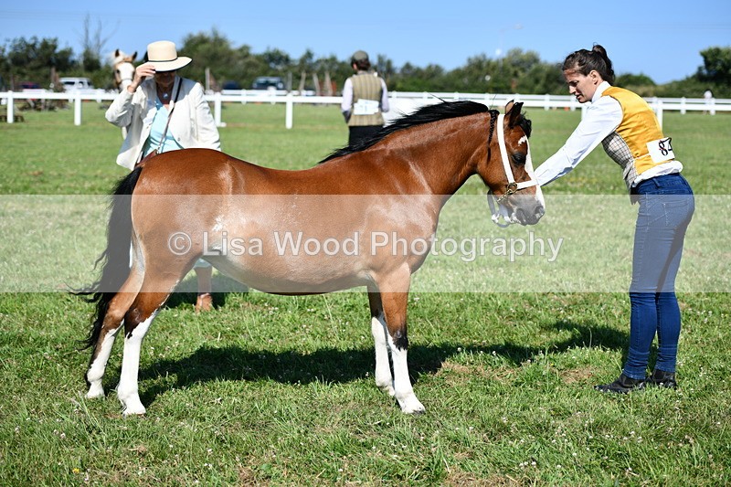 DSC_6471 - Class 53: NPS M&M 4 years and over Small Breeds