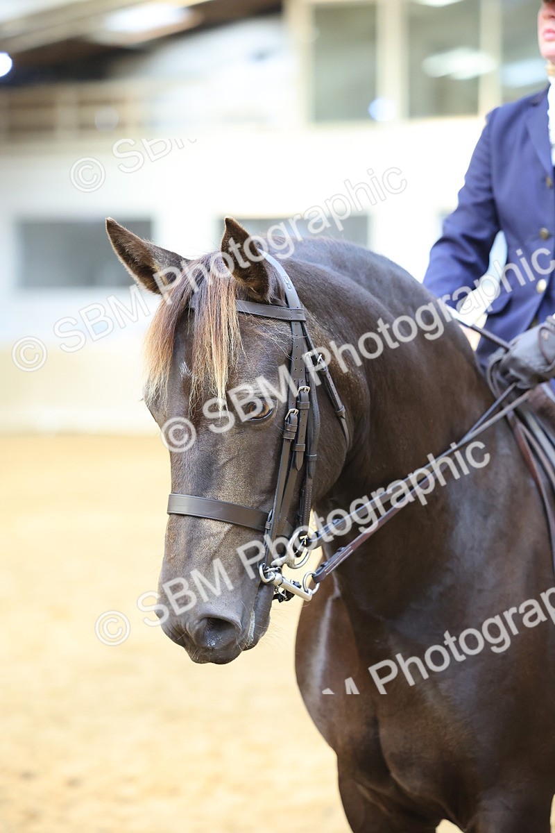 SBM_24591 - Class 906 - Supreme Final - Ridden Pre Vet