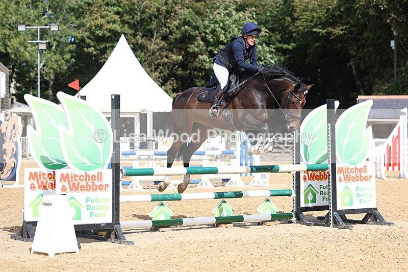 3E7A9163 - Class 9: Senior British Novice/90cm open