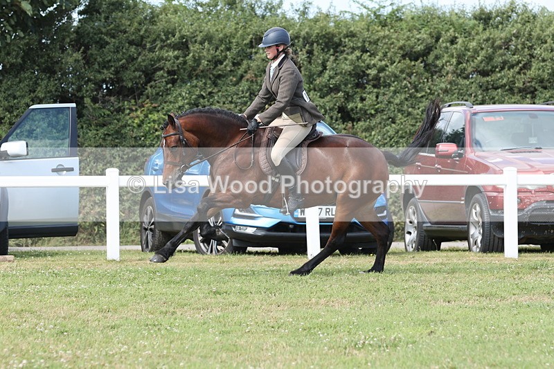 JPP_2416 - Class 19: Working Hunter 60cm