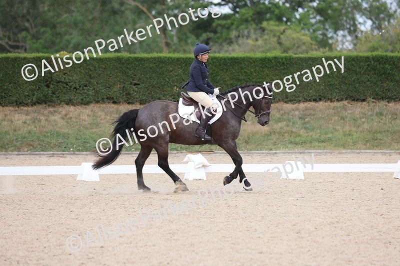 20250706-0284 - Class 15 - Novice 5