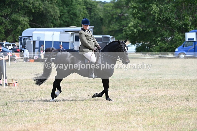 WJ7_6185 - Class 13 Ridden Veterans