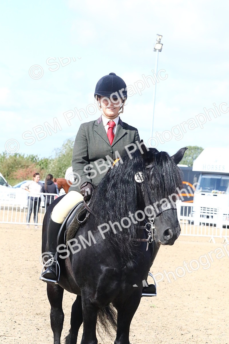 SBM_13423 - Class 505b - M&M Working Veteran  50cm (20+)