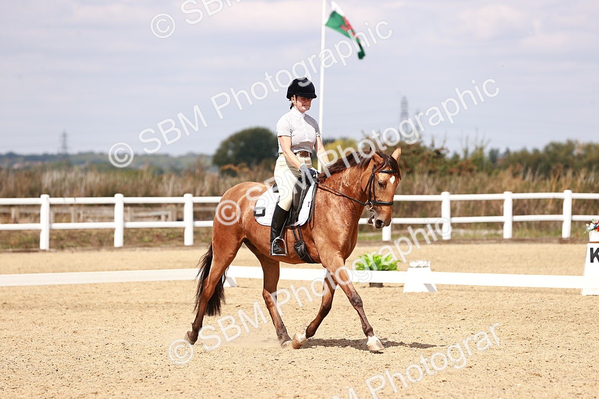 SBM_018550 - Class 17 - Novice 6