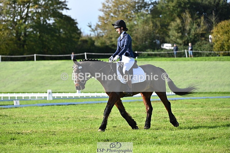 251024A-115510-09471 - F-466-Amber.Golley