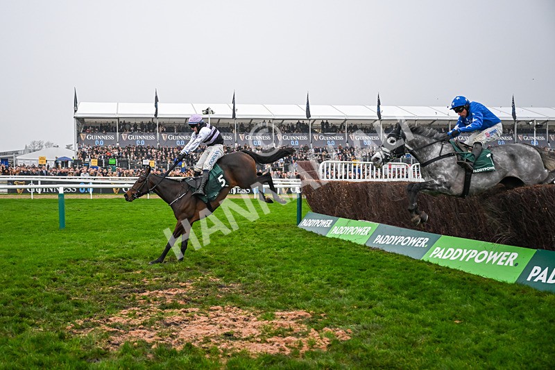 151125-Race 3-July Flower--3016 - Race 3