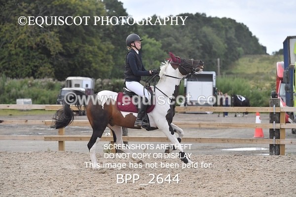 BPP_2644 - DERBY CLASS 8 - 90CM