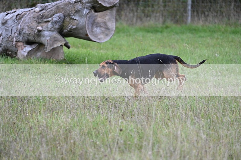 WJ7_3517 - Camera 1 Line 1