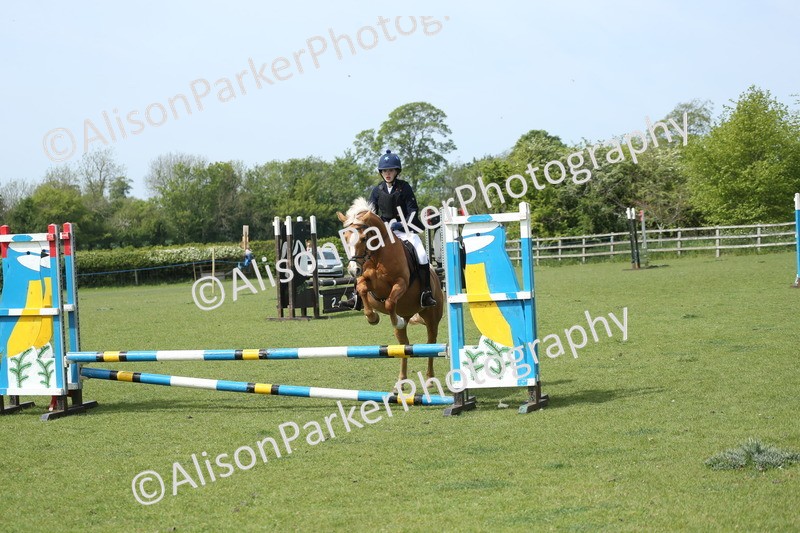 20260426-1740 - Class 14 - Novice 60cm