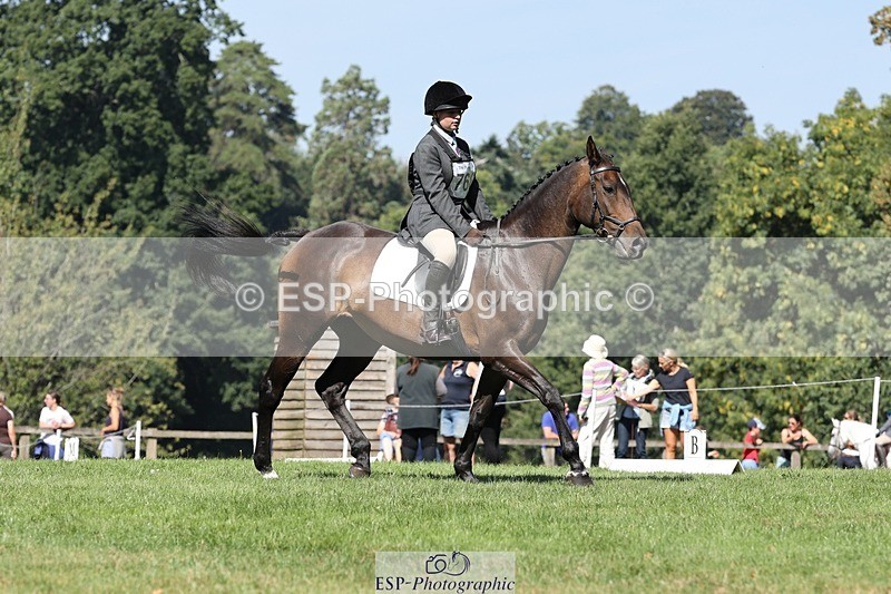 250823A-111042-27886 - Arena D