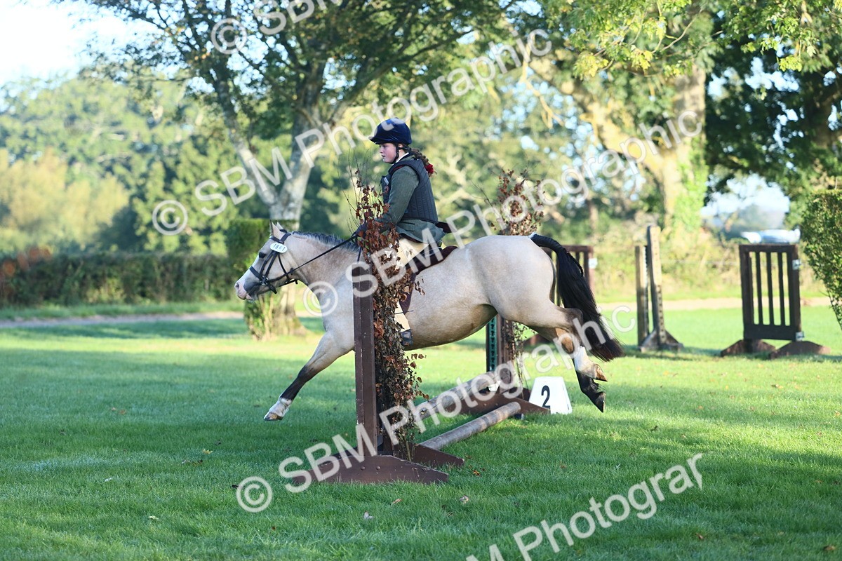 SBM_37245 - S29 - Novice & Newcomers Working Hunter Pony