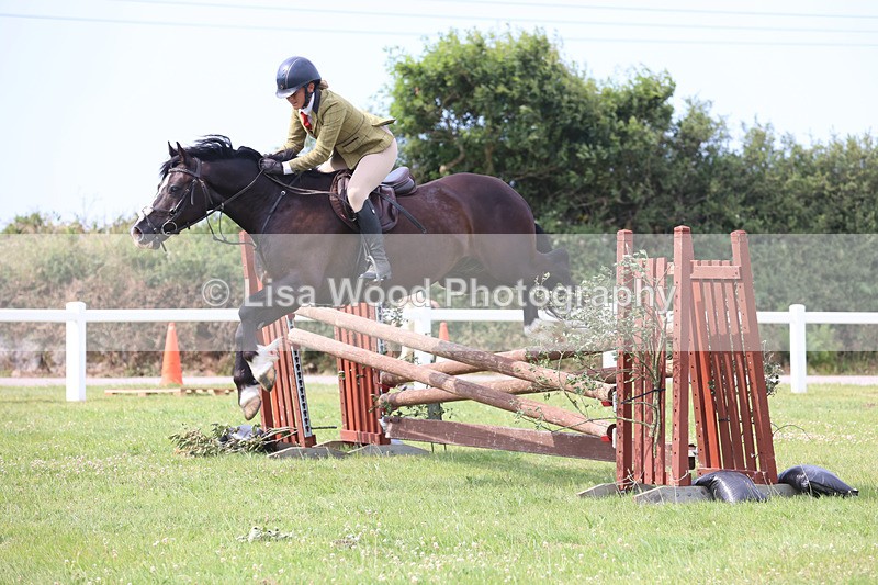 JPP_4039 - Class 24: Working Hunter 90cm