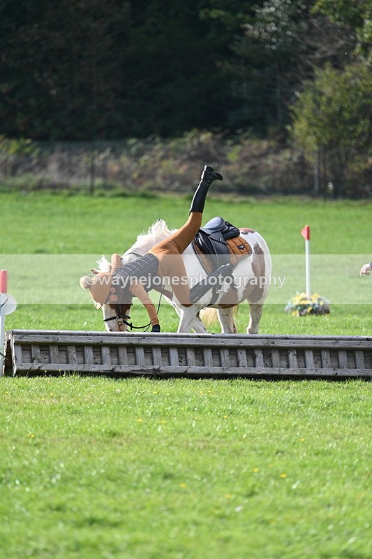 WJ7_3973 - 40cm Time 10:26 to 10:42