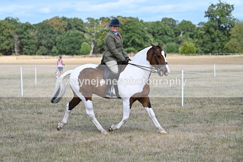 WJ7_6794 - Class 14 Ridden Coloured