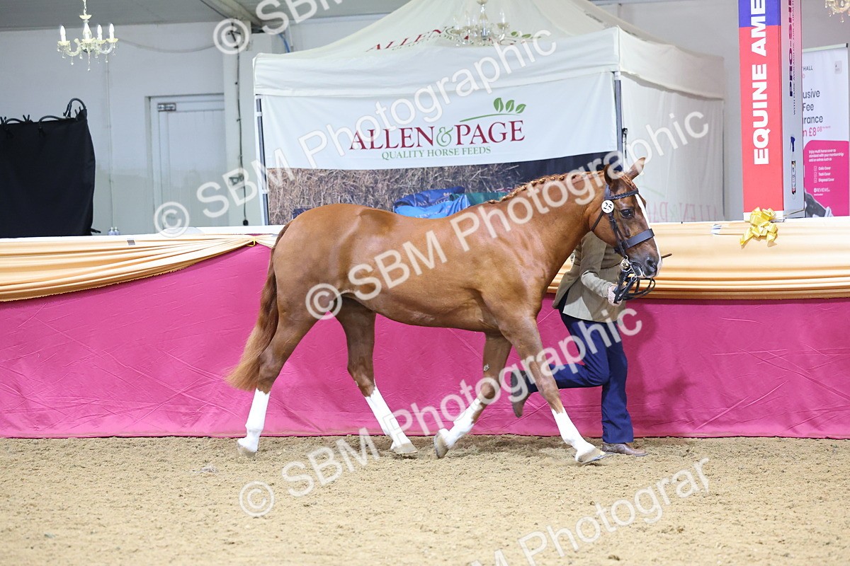 SBM_19367 - Class 901 - Supreme Final - IH Diamond