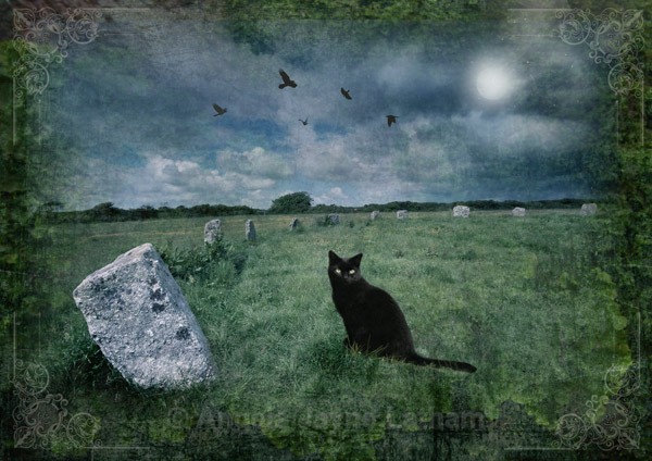 Black Cat and Merry Maidens - The Wheel of the Year
