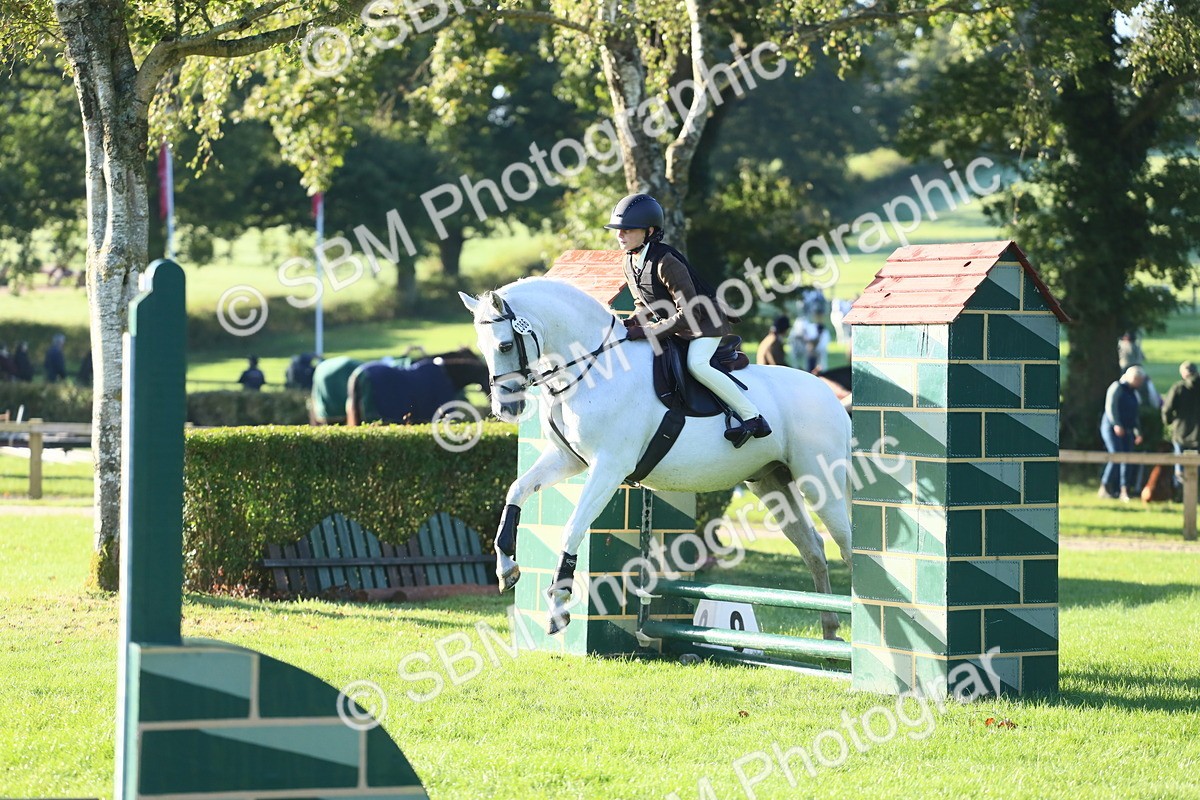 SBM_37375 - S29 - Novice & Newcomers Working Hunter Pony