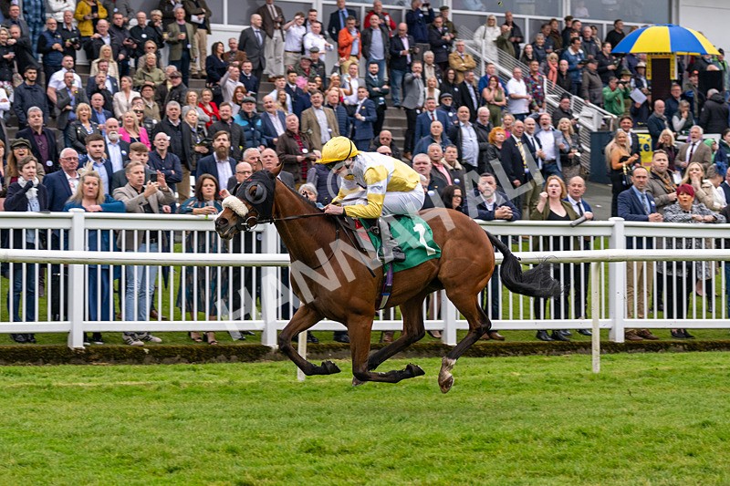 040524-Race 2-Wobwobwob-4095 - Race 2