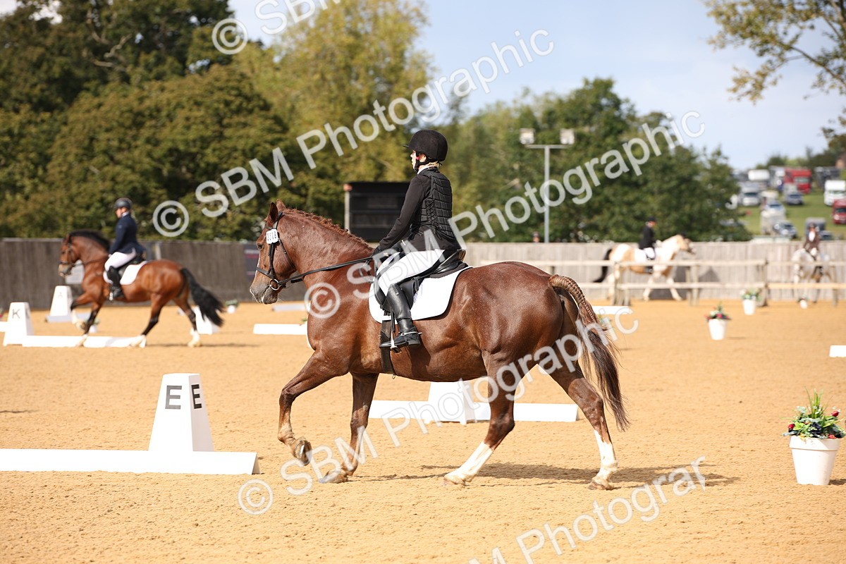 SBM_09011 - D8 Small Tour Championship Prelim 7