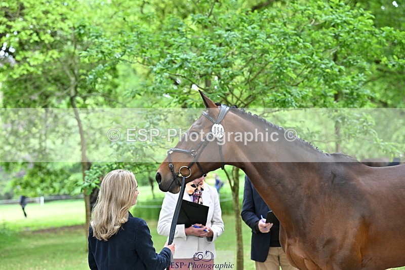 250521A-144201-00176 - A-054-Alice.Gates-SHANBEG.PANDORA