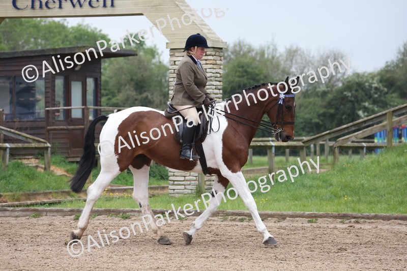 20260504-1008 - Class 14 - Cob and Hunter