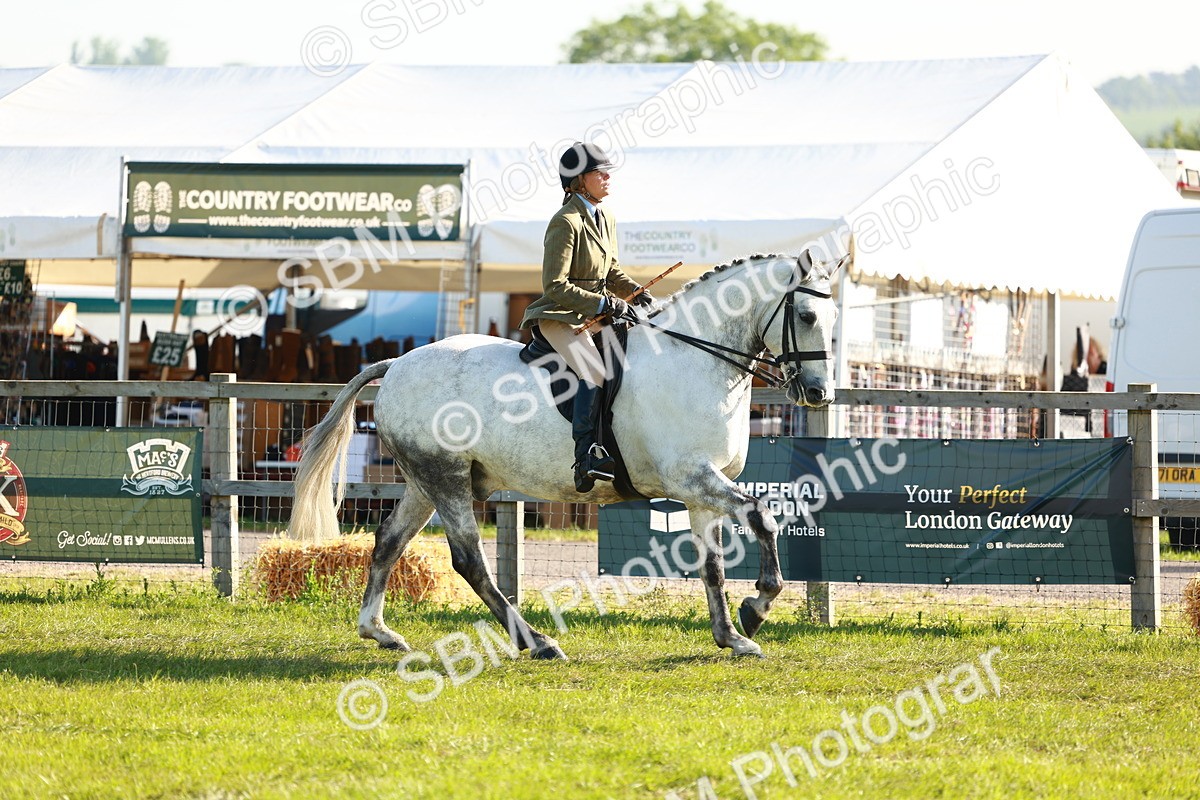 SBM_10738 - Class 66-69 - RIHS Ridden Hunters Inc Small Hunter