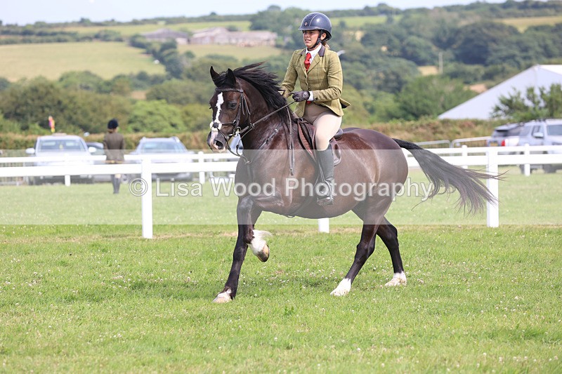 JPP_4029 - Class 24: Working Hunter 90cm