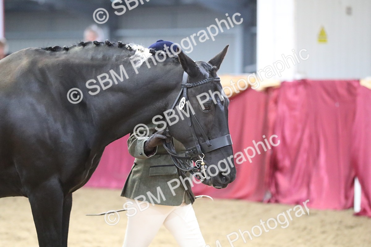 SBM_06515 - Regional IH Champ