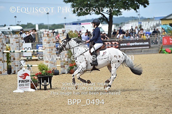BPP_0494 - RHS 2019 Selection - *Just some random spectator shots so Lucky Dip if you are there!