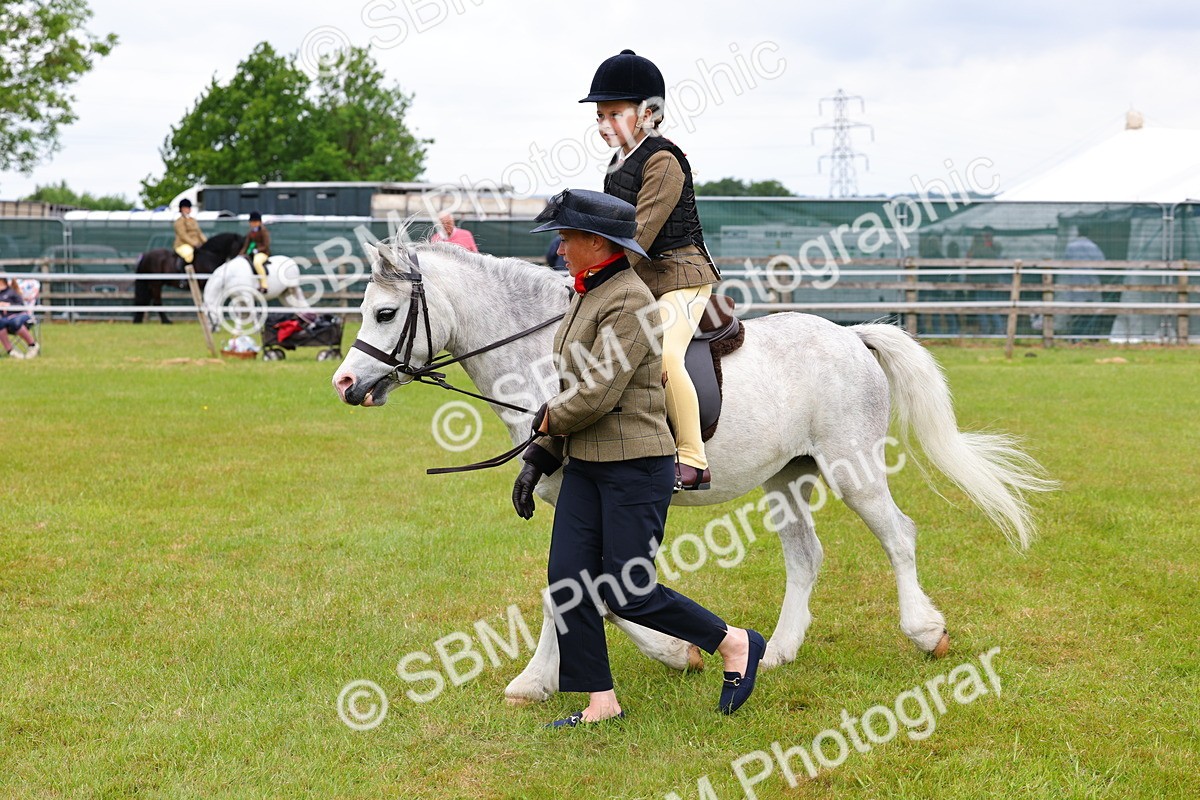 SBM_08201 - Class 42-43 - LIHS BSPS Heritage Working Sports Pony