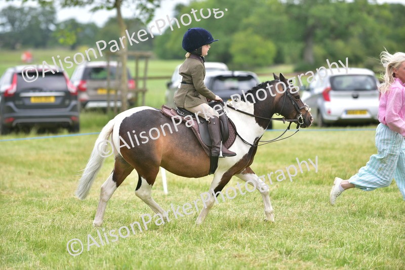20260614-2694 - Class 13 - Pony Club Pony