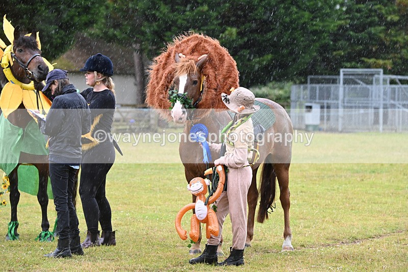 WJ6_9393 - Class 11 Fancy Dress