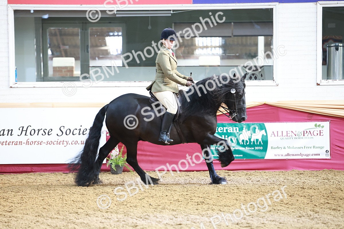 SBM_11877 - Class 102 - Equitation (Best Rider) Adult
