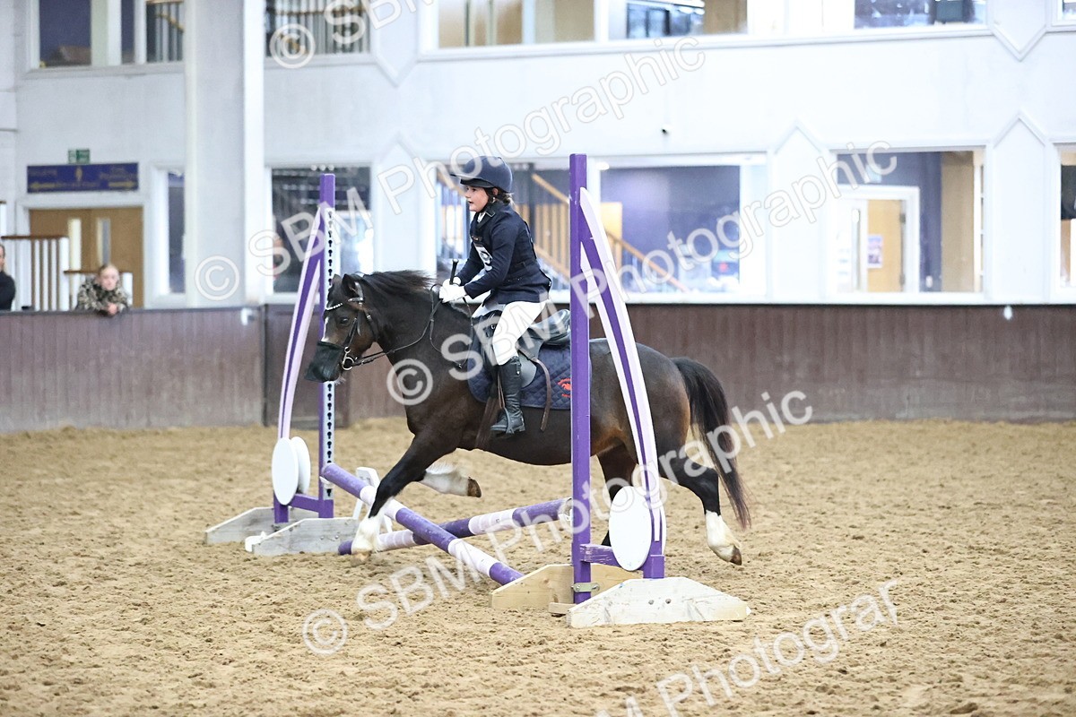 SBM_000141 - Class 2 - The Rug Lady 40cm Area 12 Championship Qualifier