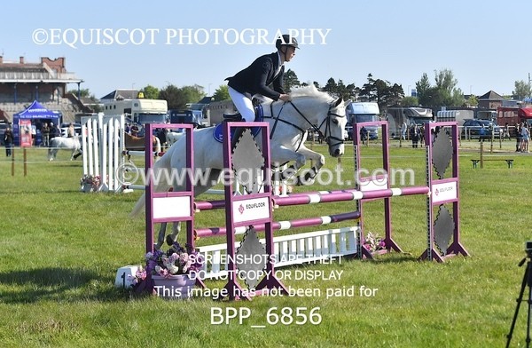 BPP_6856 - CLASS 1 Senior Newcomers/ 1.10m Open