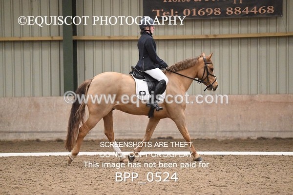 BPP_0524 - 15 - D JONES