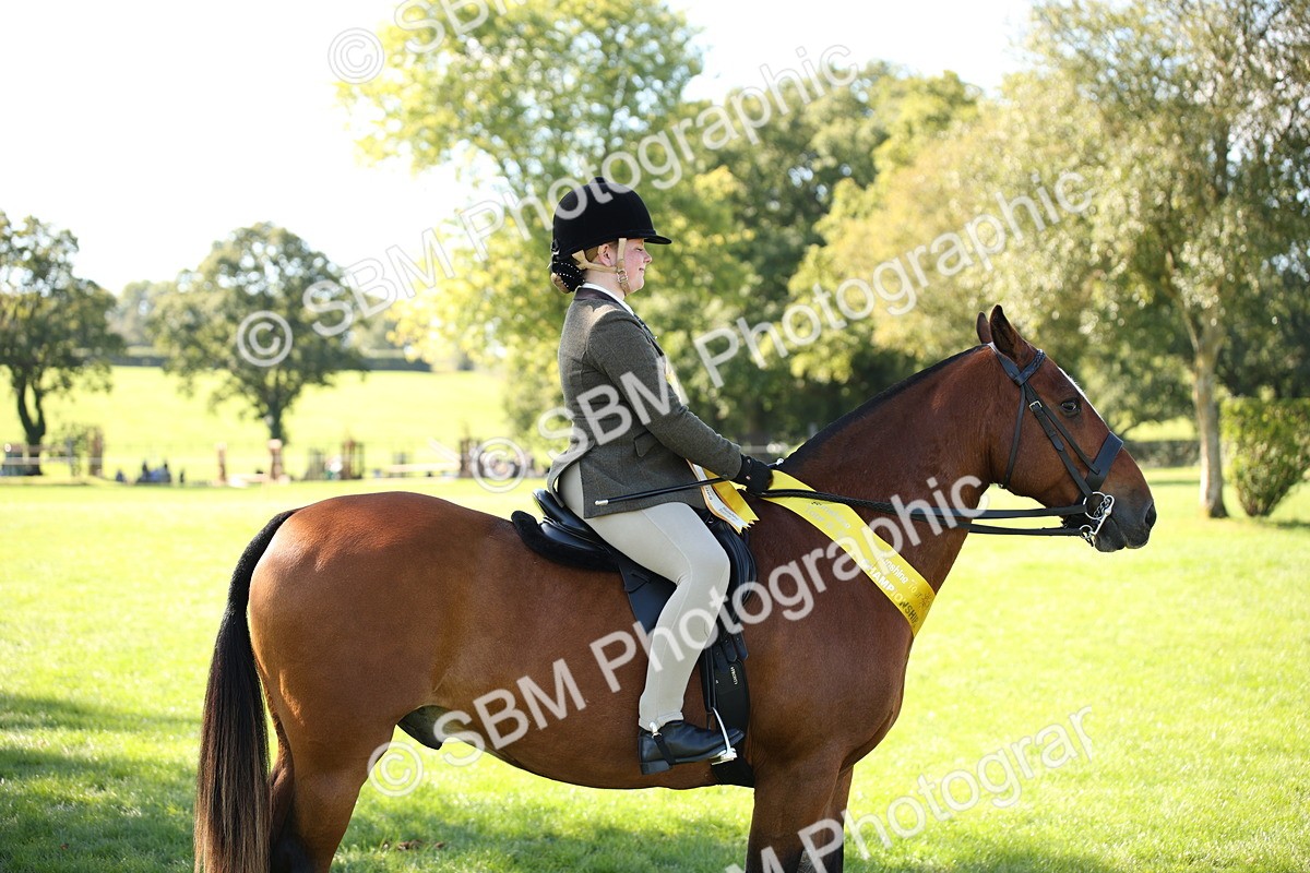 SBM_39020 - S11 - Best Ridden Horse & Pony