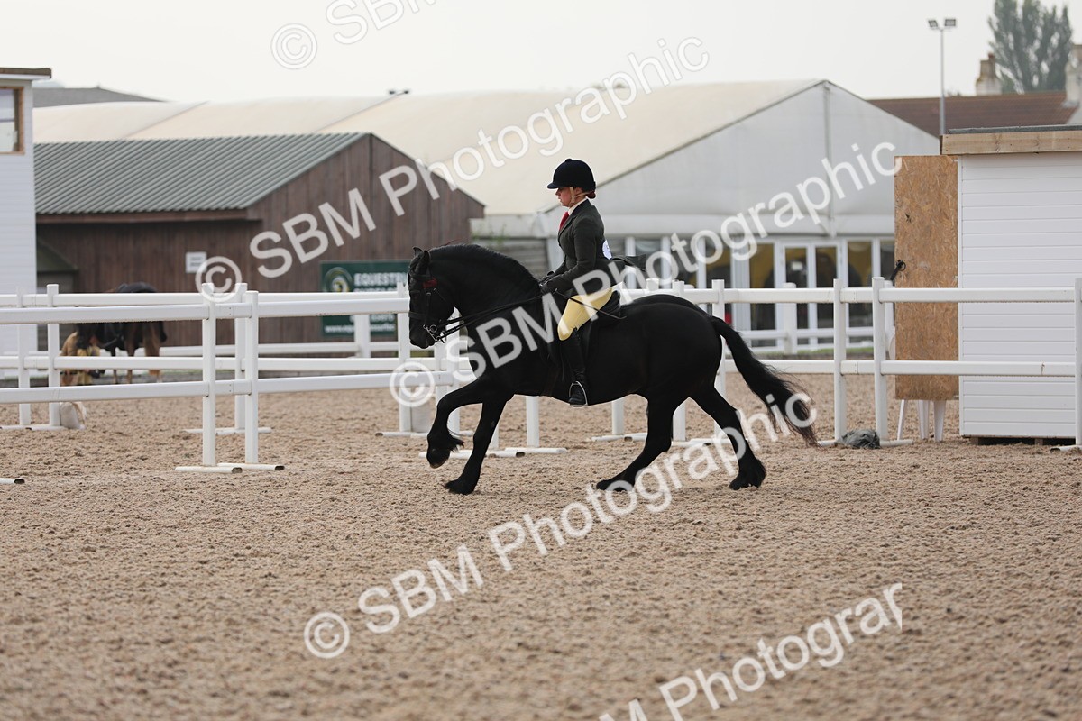 SBM_10045 - Class 302 Ridden M&M -Large Breeds