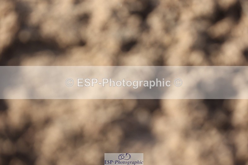 241201X-121055-01015 - Classes 06-09 Jnr 110-115-120-125