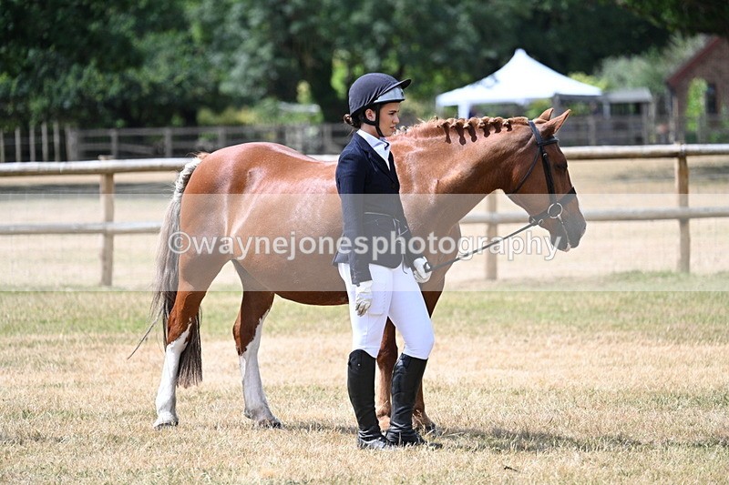 WJ7_1924 - Class 4a Prettiest Mare 14.2hh and over hand