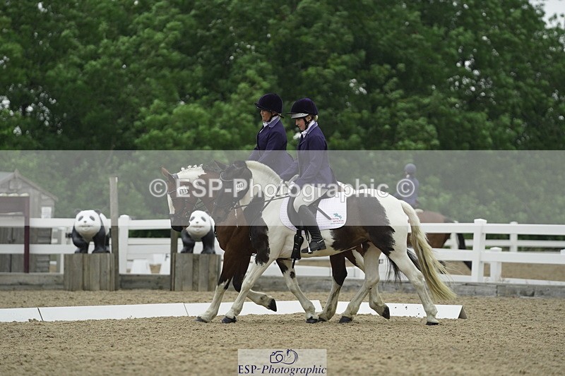 230708A-122216-00361 - BRC Pairs 5