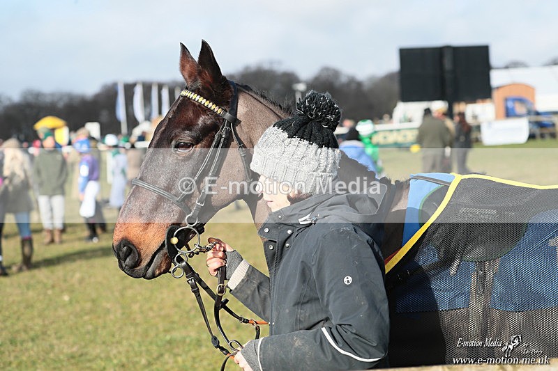 PR PtP 250126 337 - Pony Racing Cocklebarrow 25/01/26
