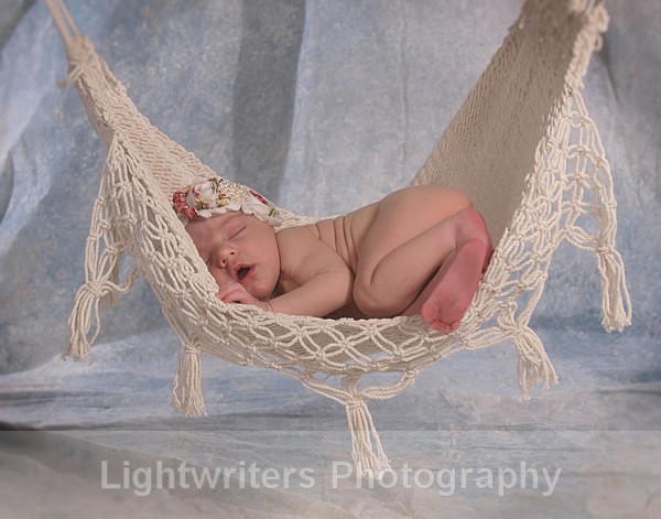 Willow 25 - Willow
