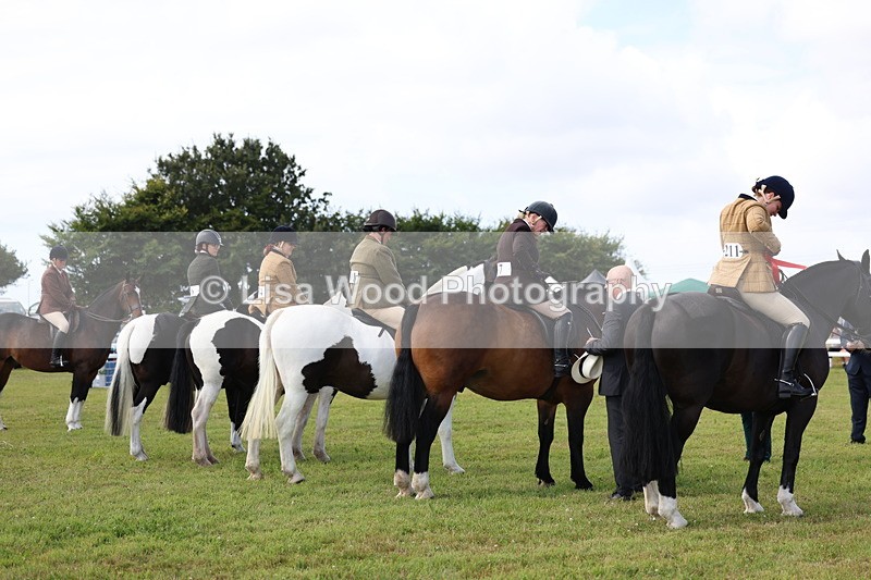 3E7A0108 - Class 5: Rising Star Lightweight/Heavyweight Cobs