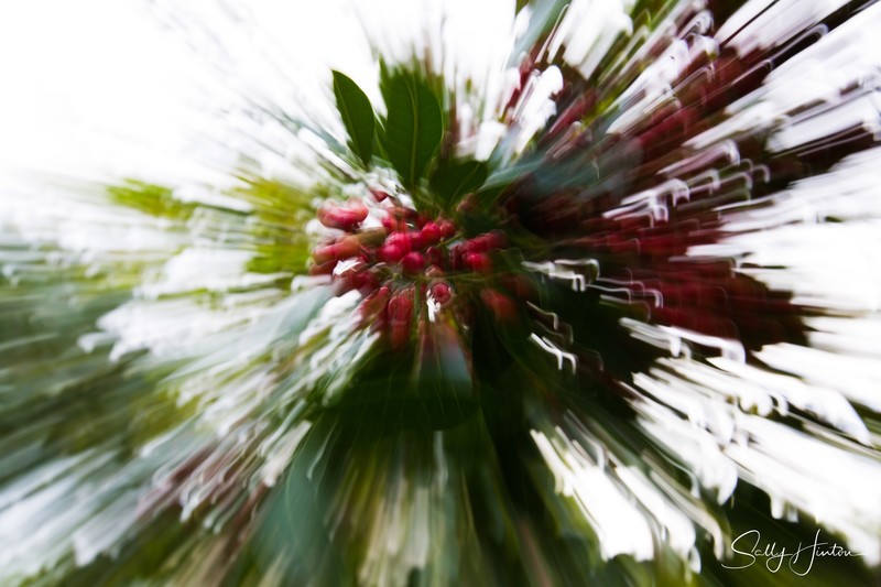 Flower Twirl