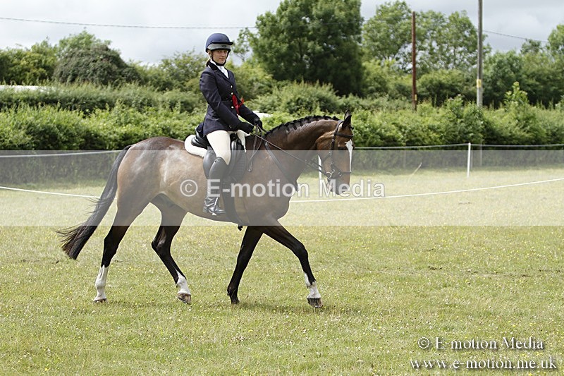 BVR160717-2274 - Working Hunter Championship 16/07/17