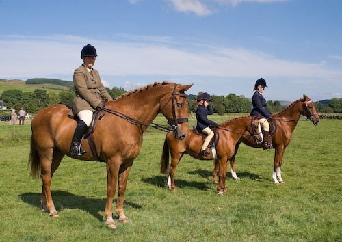 171 - Moniaive Horse Show 2008