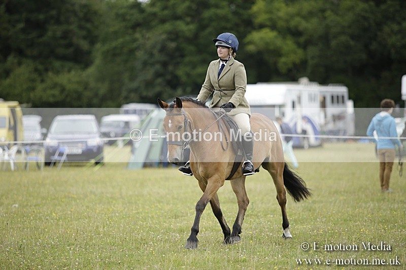 BVR160717-1028 - Ring 1 BVRC Show 16/07/17